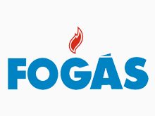 fogas cliente aes consultoria hcm sap bh