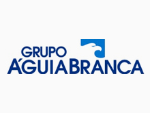 grupo aguia branca cliente aes consultoria hcm sap bh